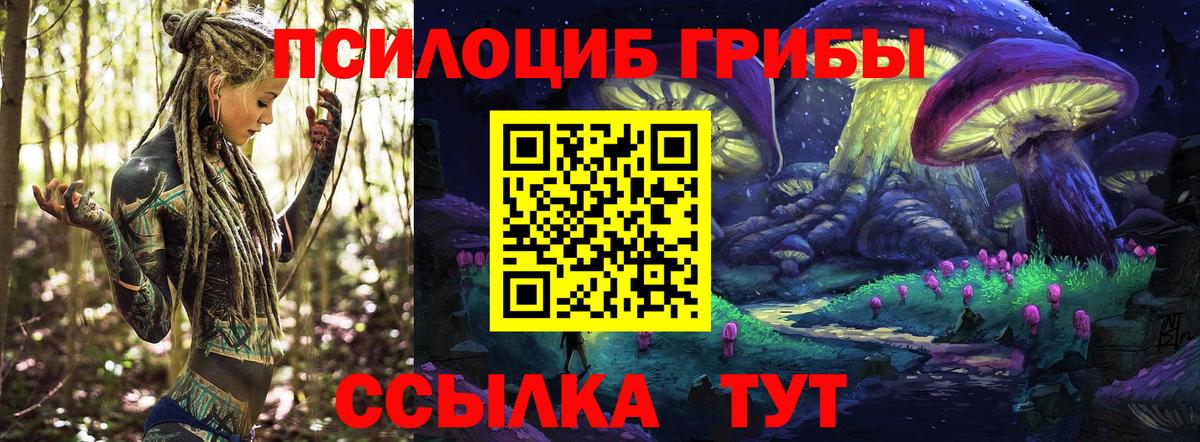 Псилоцибиновые грибы Cubensis  Вход с VPN  Тихорецк 